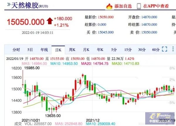 橡膠停割即將開啟，