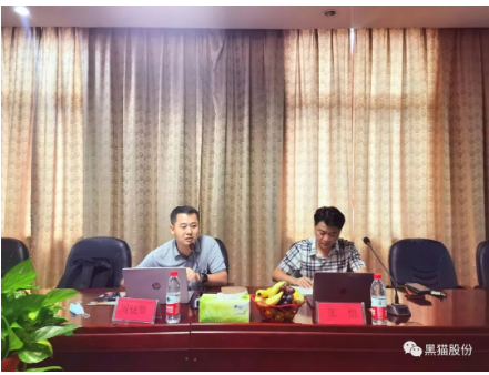 　安徽中鼎做為國(guó)內(nèi)最大的汽車橡膠零部件生產(chǎn)、出口企業(yè)，是黑貓股份差異化產(chǎn)品的重要客戶之一，此次評(píng)審為安徽中鼎第一次對(duì)黑貓公司開展審核活動(dòng)，也是邯鄲黑貓首次接受差異化產(chǎn)品客戶方審核。